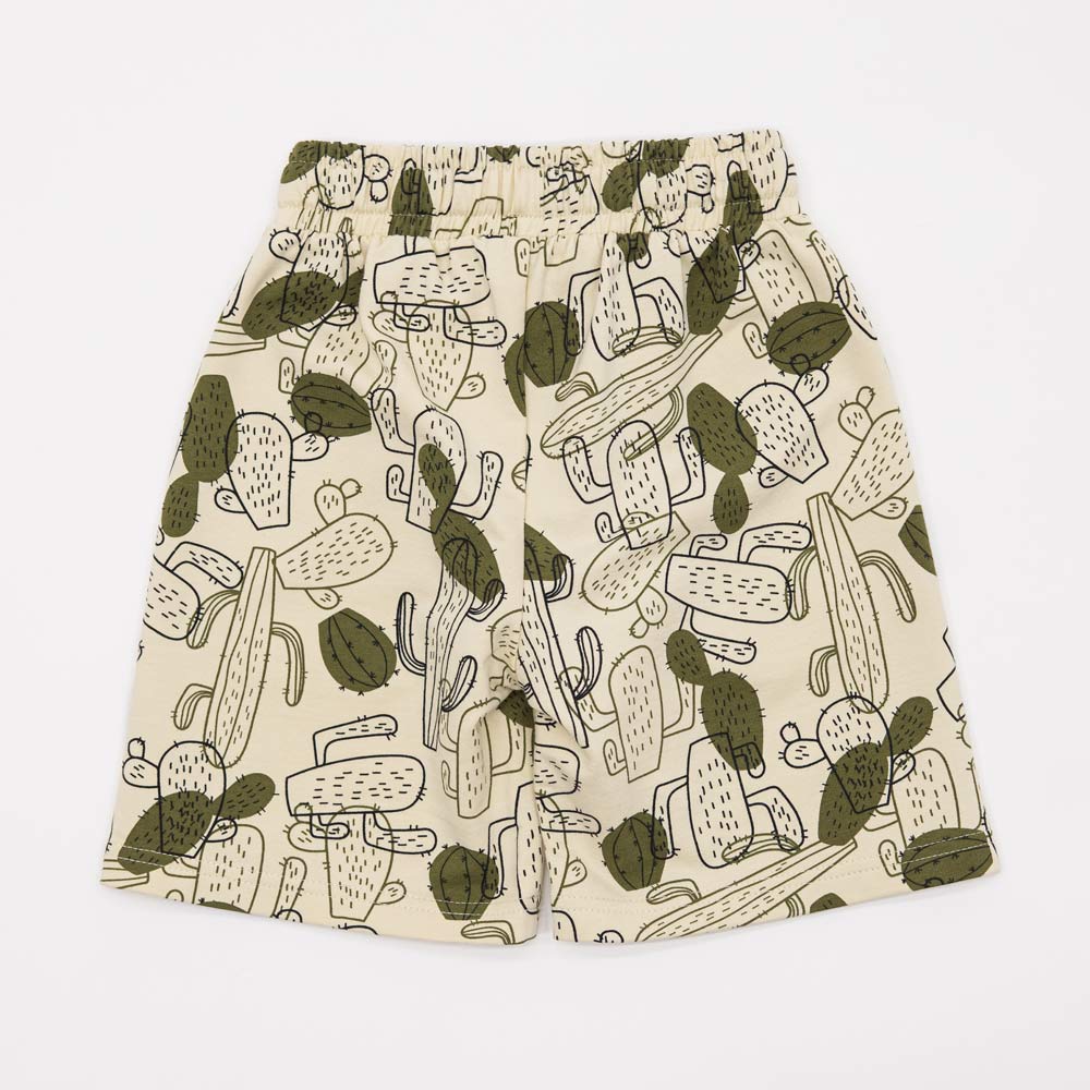 07762044-40 Шорты из футера для мальчика бежевый-зеленый, все фото 2