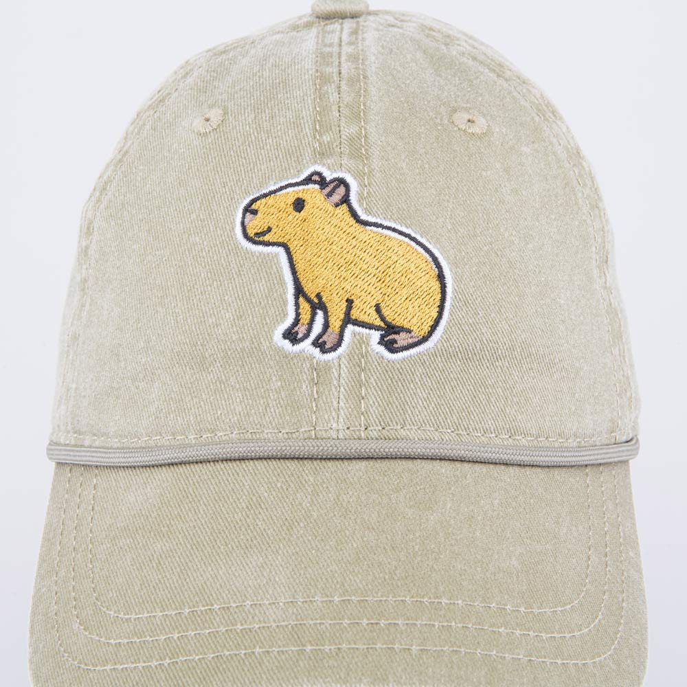 07709070-40 Кепка-бейсболка для мальчика Капибара бежевый, все фото 4