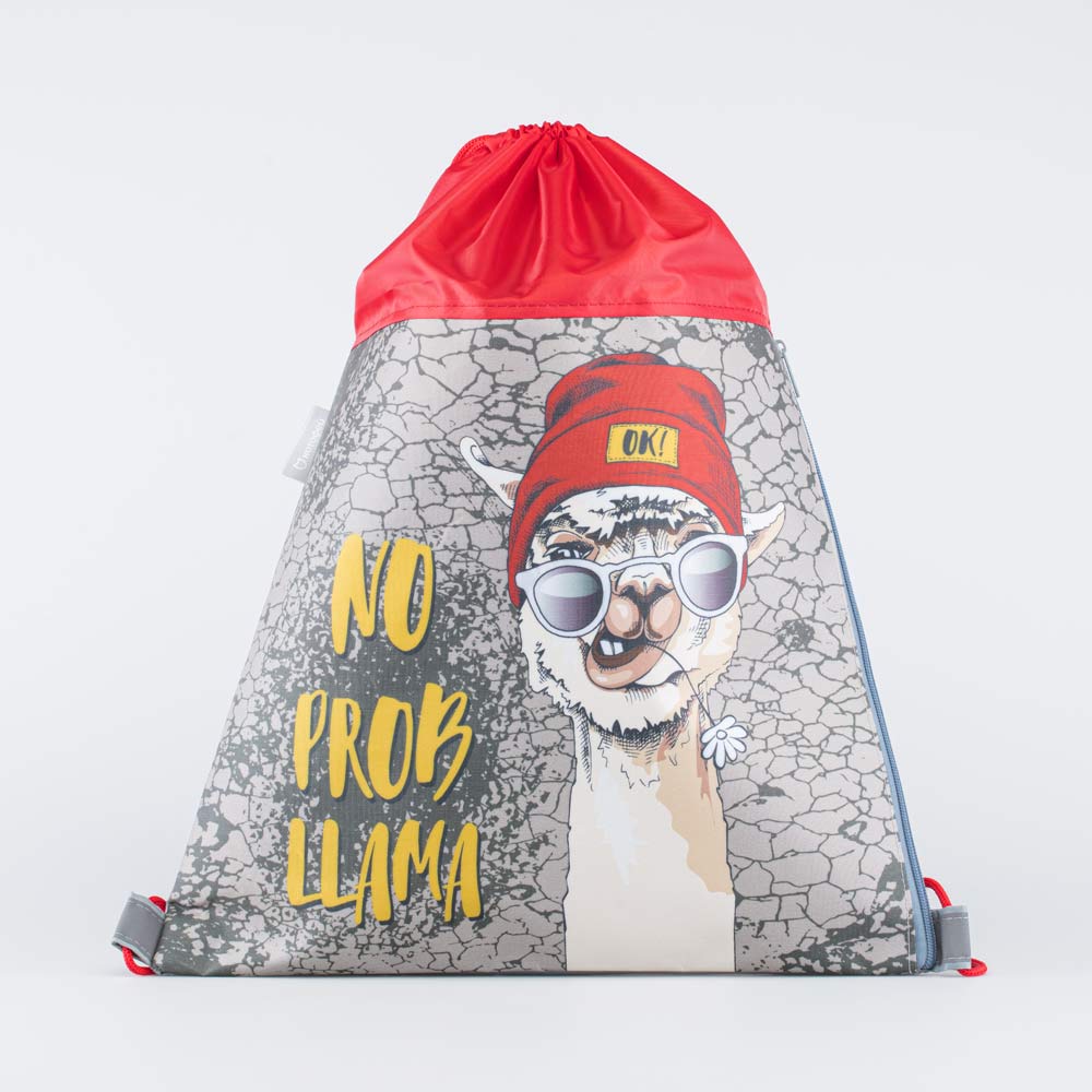 02708091-20 Мешок для сменной обуви LAMA, все фото 1