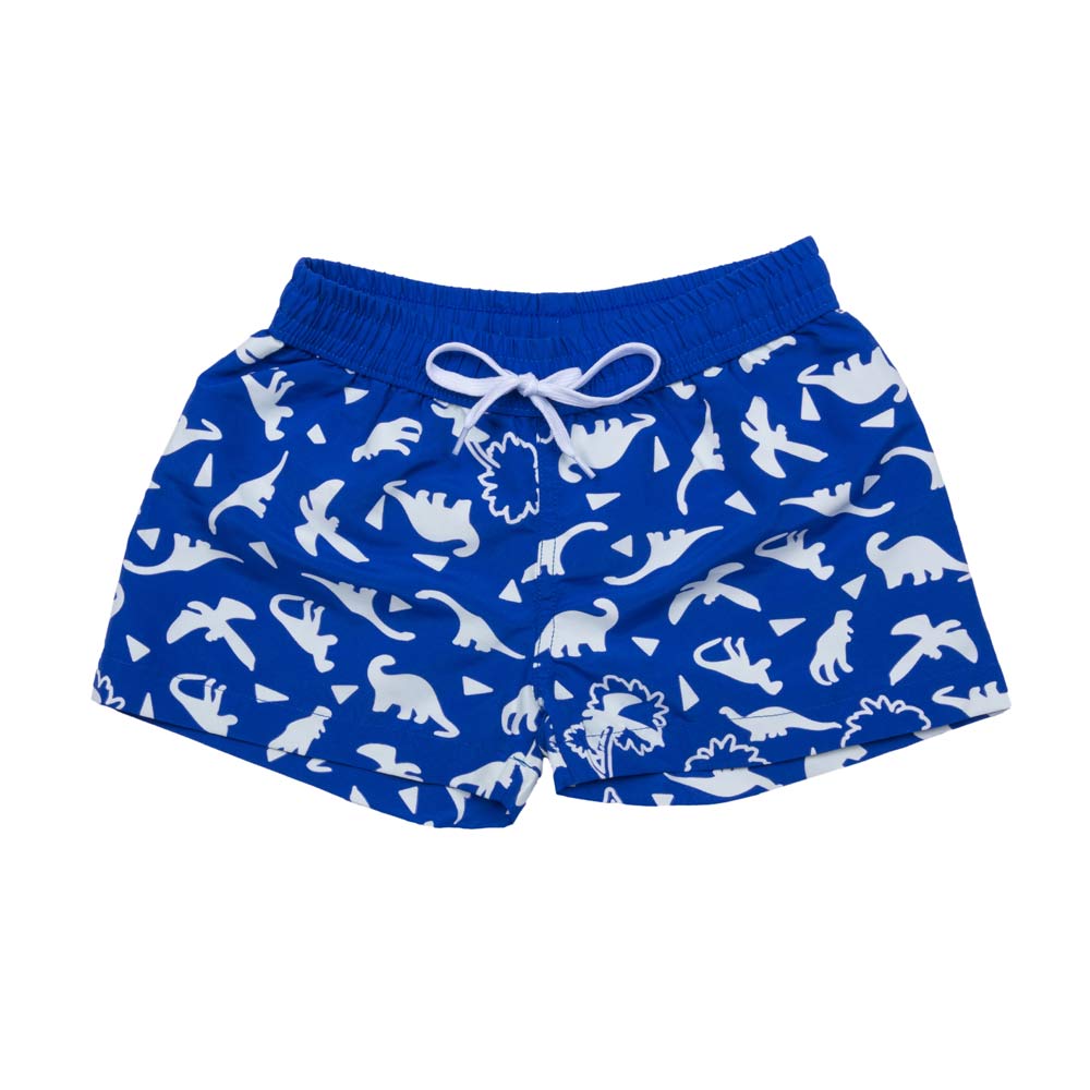 07753034-40 Шорты для плавания Динозавр, все фото 1