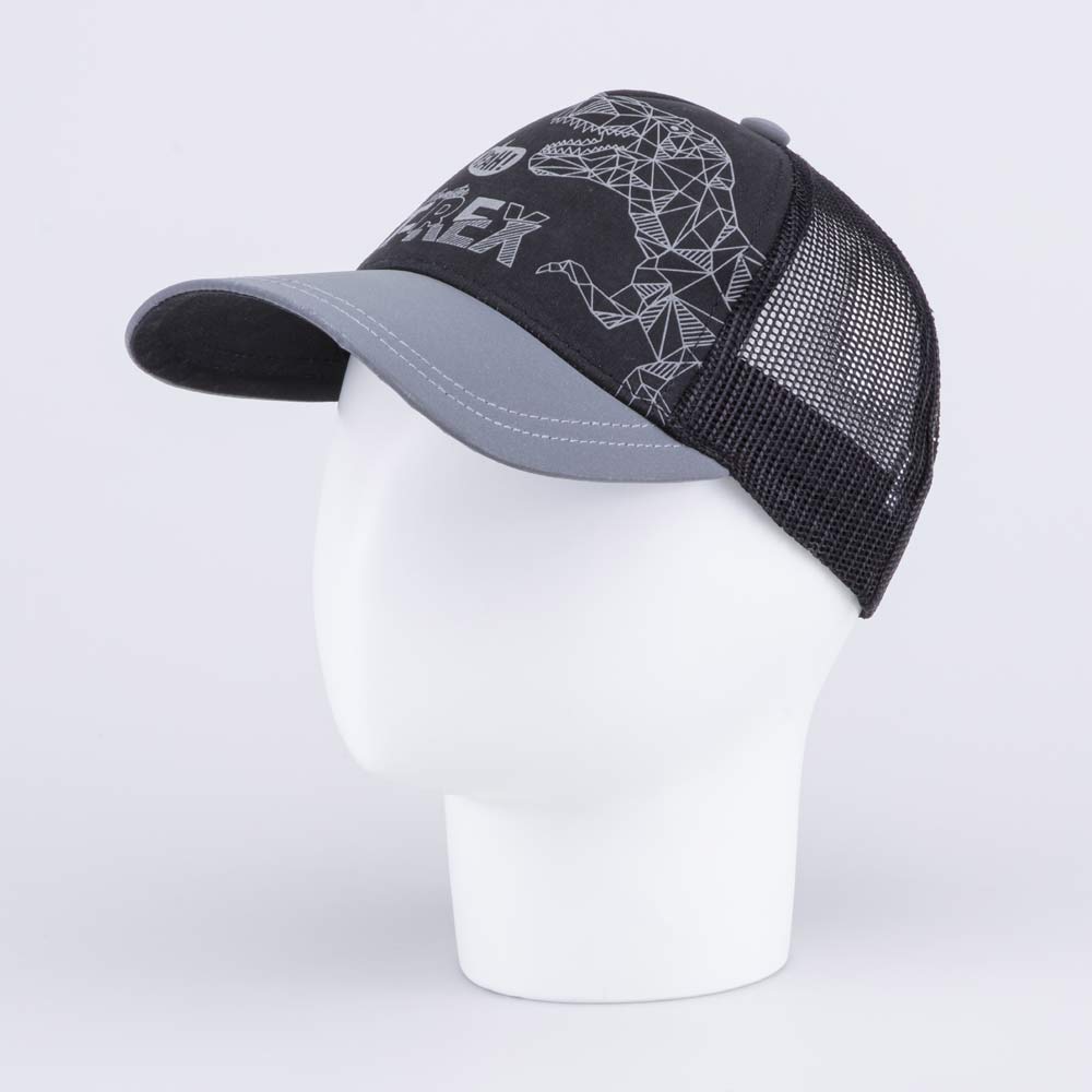 07711780-40 Кепка-бейсболка с сеткой для мальчика Динозавр, все фото 1