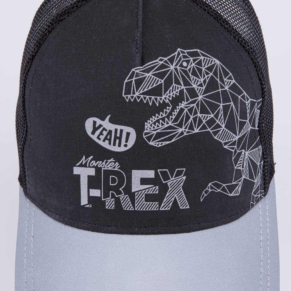 07711780-40 Кепка-бейсболка с сеткой для мальчика Динозавр, все фото 3