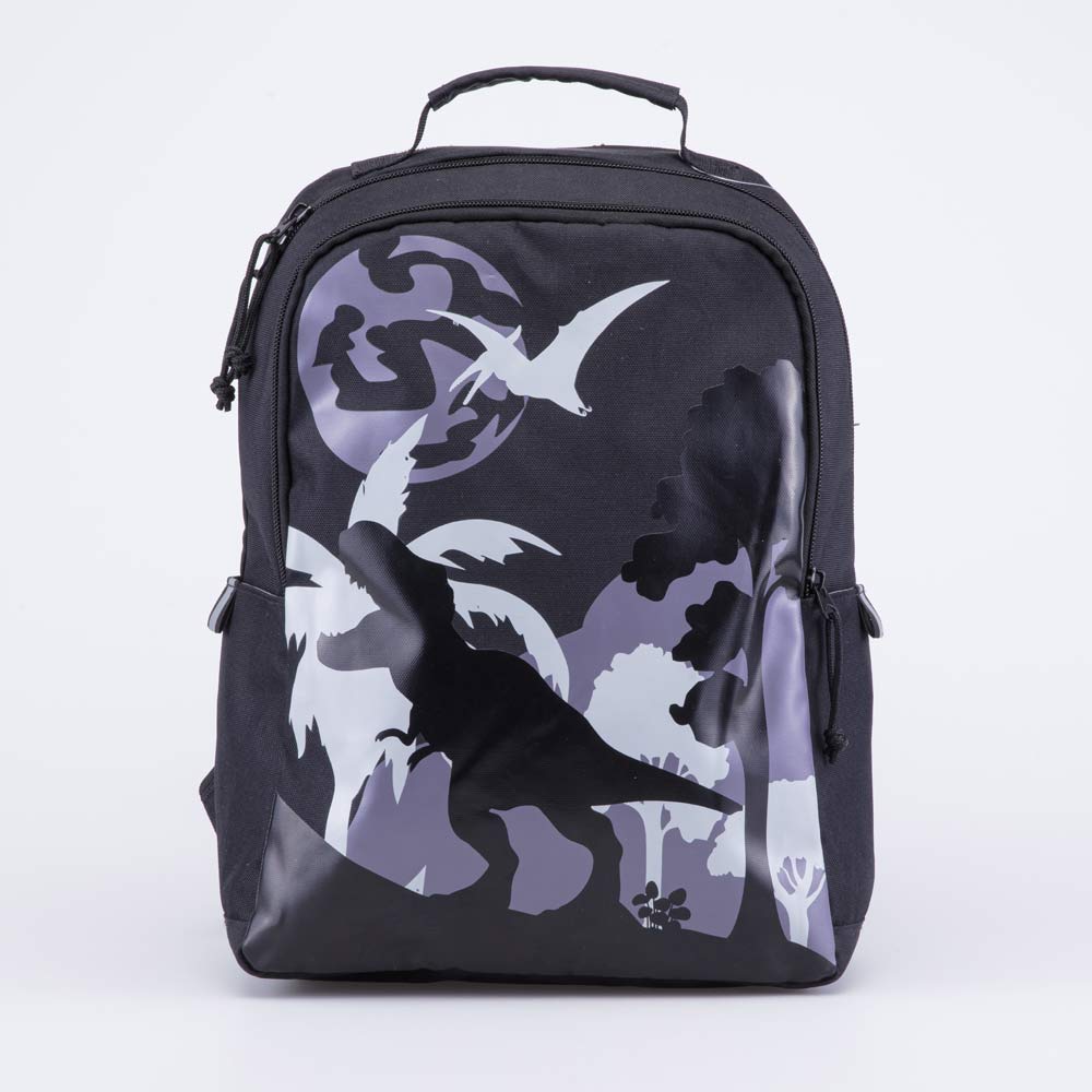 02711297-40 Рюкзак детский Эра динозавров черный-серый, все фото 1