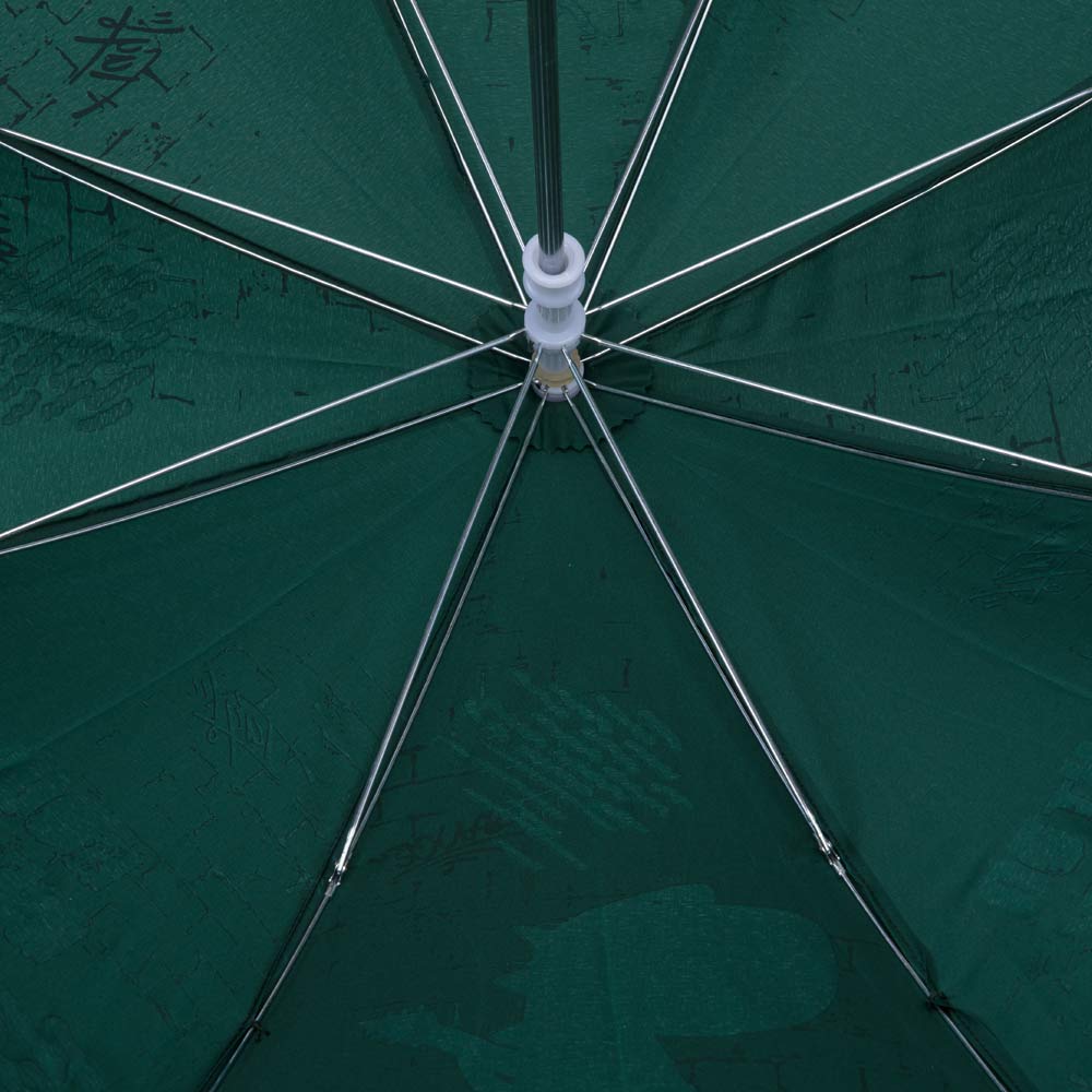 03707143-00 Зонт для мальчика Зеленый Дракоша, все фото 3