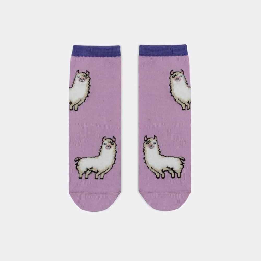 07842484-40 Носки хлопковые Пушистые ламы, все фото 1