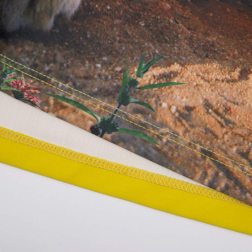 07786002-40 Купальный костюм для мальчика Саванна, все фото 3