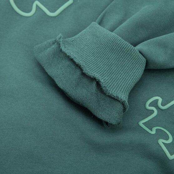 07764070-41 Костюм толстовка + брюки зеленый для универсальные зеленый фото №4