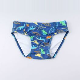 07753013-40 Купальные плавки для мальчика Динозаврики для мальчики синий