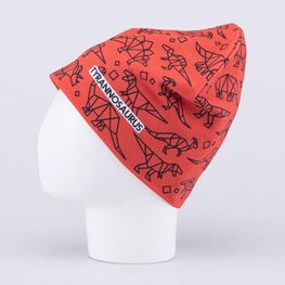 07711954-40 Шапка для мальчика Динозавры для мальчики коричневый фото №2