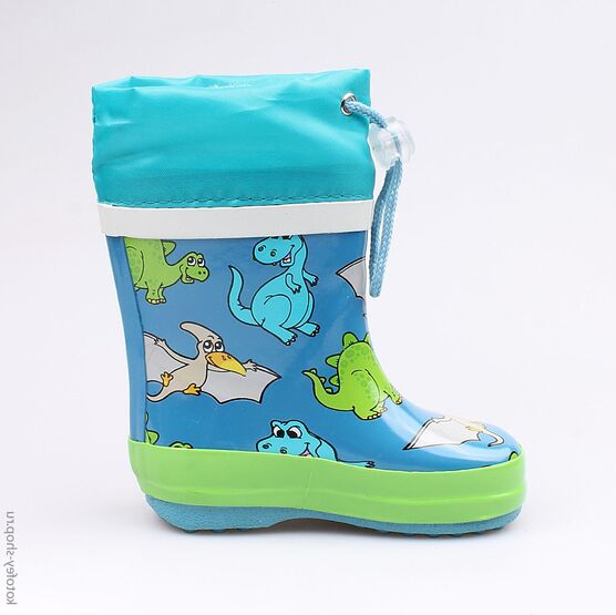 166078-11 Резиновые сапоги для мальчики гол-сал фото №2