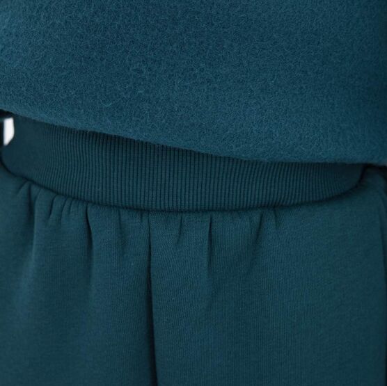 07764065-41 Костюм худи + брюки с начесом зеленый для универсальные зеленый фото №5