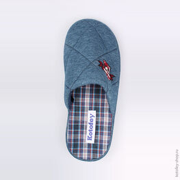 731016-11 Тапочки голубые для мальчики голубой фото №4