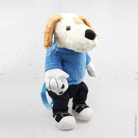 02003051-00 Рюкзак синий для универсальные светло-синий