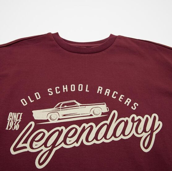 07702080-40 Вишневая футболка с принтом для мальчика для мальчики бордовый фото №3