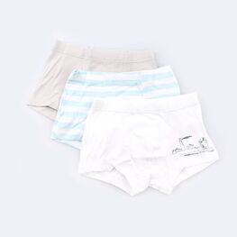 07755006-40 Комплект из 3-х трусов, цветной для мальчики 