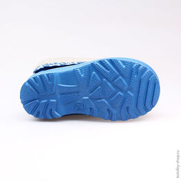 365001-18 Резиновые сапоги для мальчики гол-сер фото №3