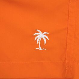 07753051-40 Шорты купальные для мальчика оранжевые для мальчики оранжевый фото №4