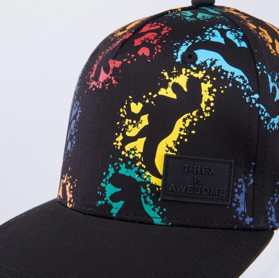 07709107-40 Кепка-бейсболка для мальчика Динозавры для мальчики черный фото №5