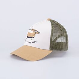 07709114-40 Кепка-бейсболка с сеточкой Такса-скейтер для мальчики разноцветный