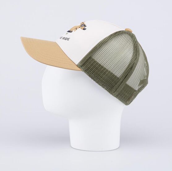 07709114-40 Кепка-бейсболка с сеточкой Такса-скейтер для мальчики разноцветный фото №3