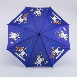 03707138-00 Зонт для мальчика Скейтер синий для мальчики синий фото №2