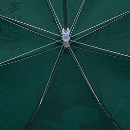 03707143-00 Зонт для мальчика Зеленый Дракоша для мальчики зеленый фото №3