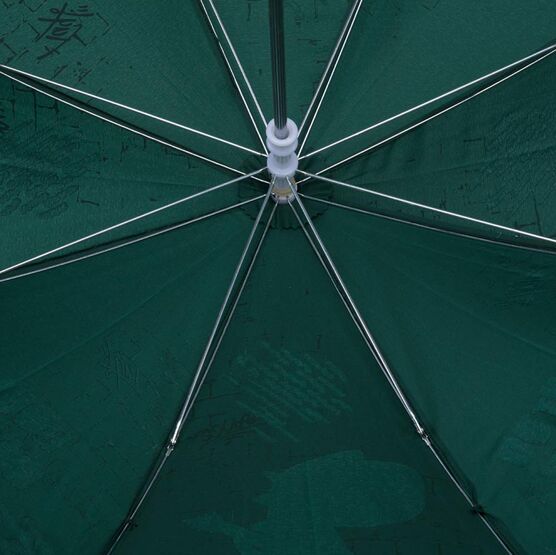 03707143-00 Зонт для мальчика Зеленый Дракоша для мальчики зеленый фото №3