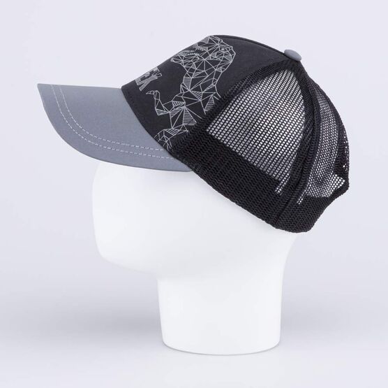 07711780-40 Кепка-бейсболка с сеткой для мальчика Динозавр для мальчики черный фото №2