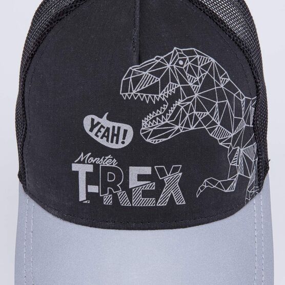 07711780-40 Кепка-бейсболка с сеткой для мальчика Динозавр для мальчики черный фото №3