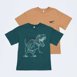 07702046-30 Набор футболок Тираннозавр Рекс для мальчики коричневый + зеленый