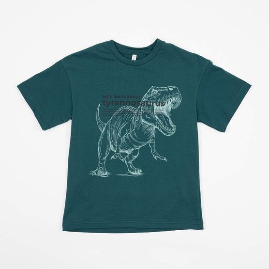 07702046-30 Набор футболок Тираннозавр Рекс для мальчики коричневый + зеленый фото №4