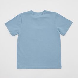 07702074-30 Голубая футболка с принтом для мальчика для мальчики голубой фото №2