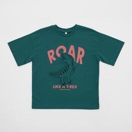 07702075-40 Зеленая футболка с принтом для мальчика для мальчики зеленый