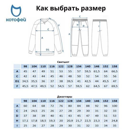 07764087-41 Костюм свитшот + джоггеры детский голубой для мальчики голубой фото №8