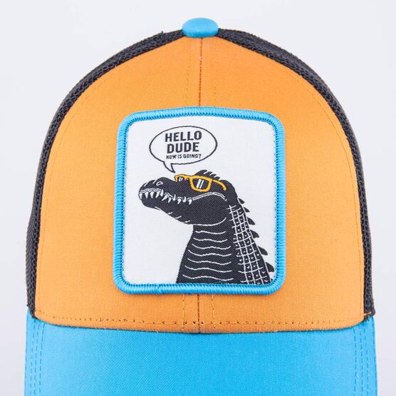 07709096-40 Кепка-бейсболка с сеткой для мальчика Дино для мальчики голубой + оранжевый фото №5
