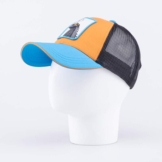 07709096-40 Кепка-бейсболка с сеткой для мальчика Дино для мальчики голубой + оранжевый фото №2